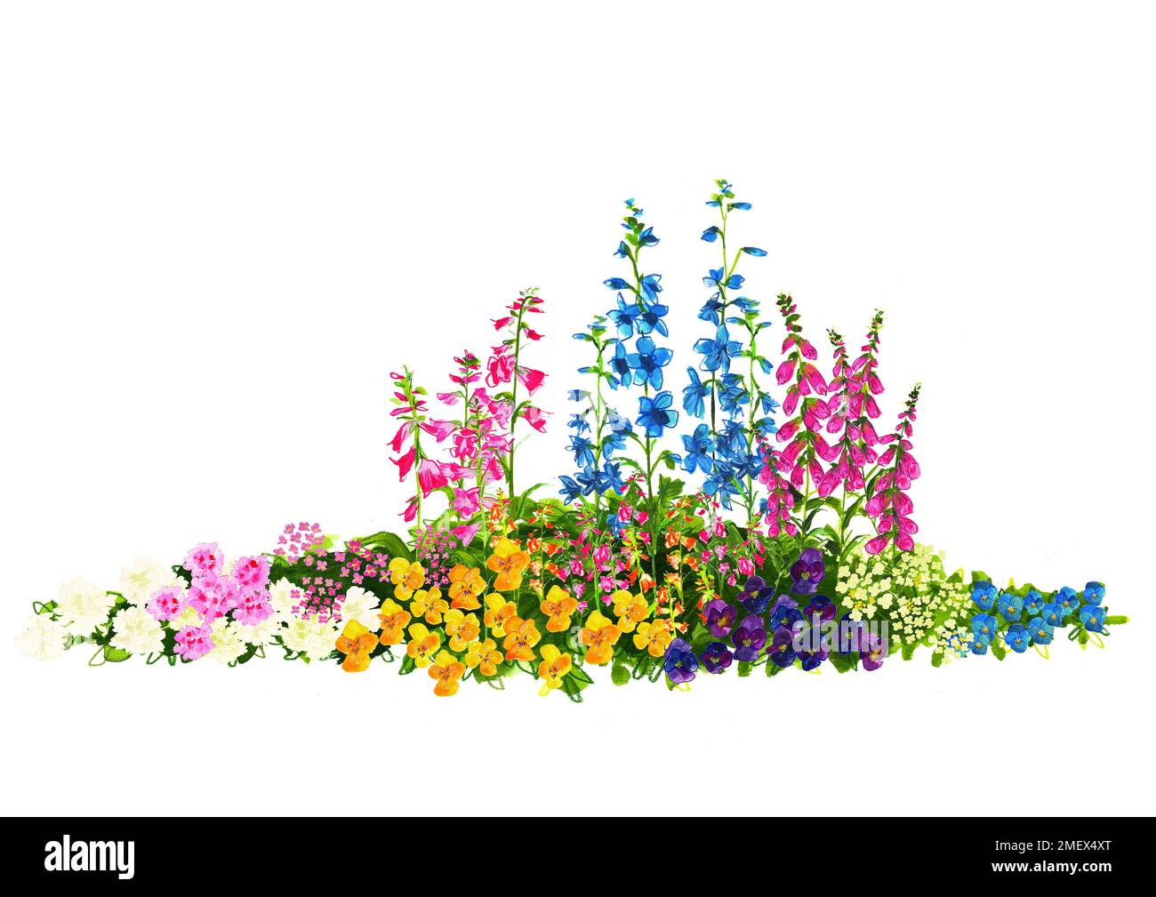 Flowers growing together Stock Photo Alamy