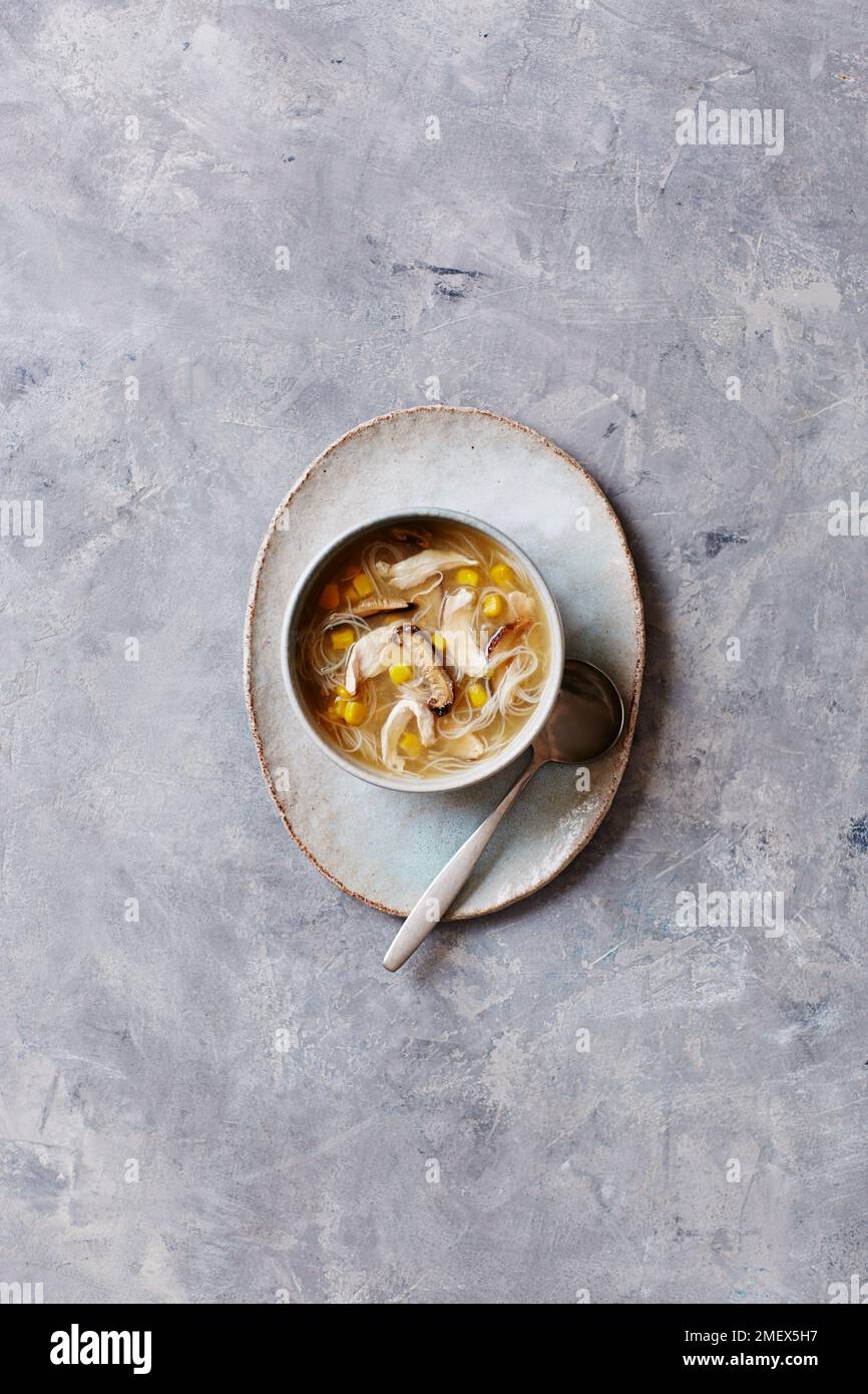 Chinese Chicken Noodle Soup Stock Photo - Alamy