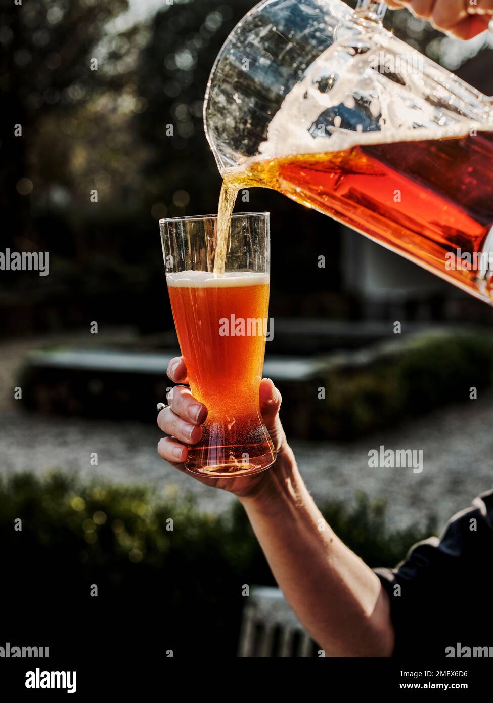Dark American Lager Stock Photo Alamy