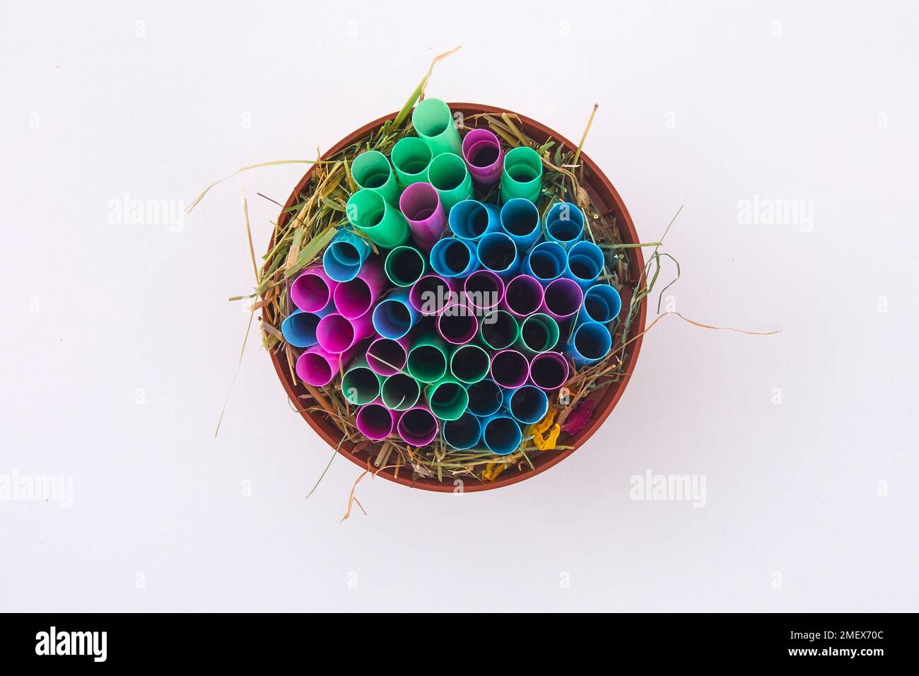 DIY bee houses large plastic straws and hay Stock Photo Alamy
