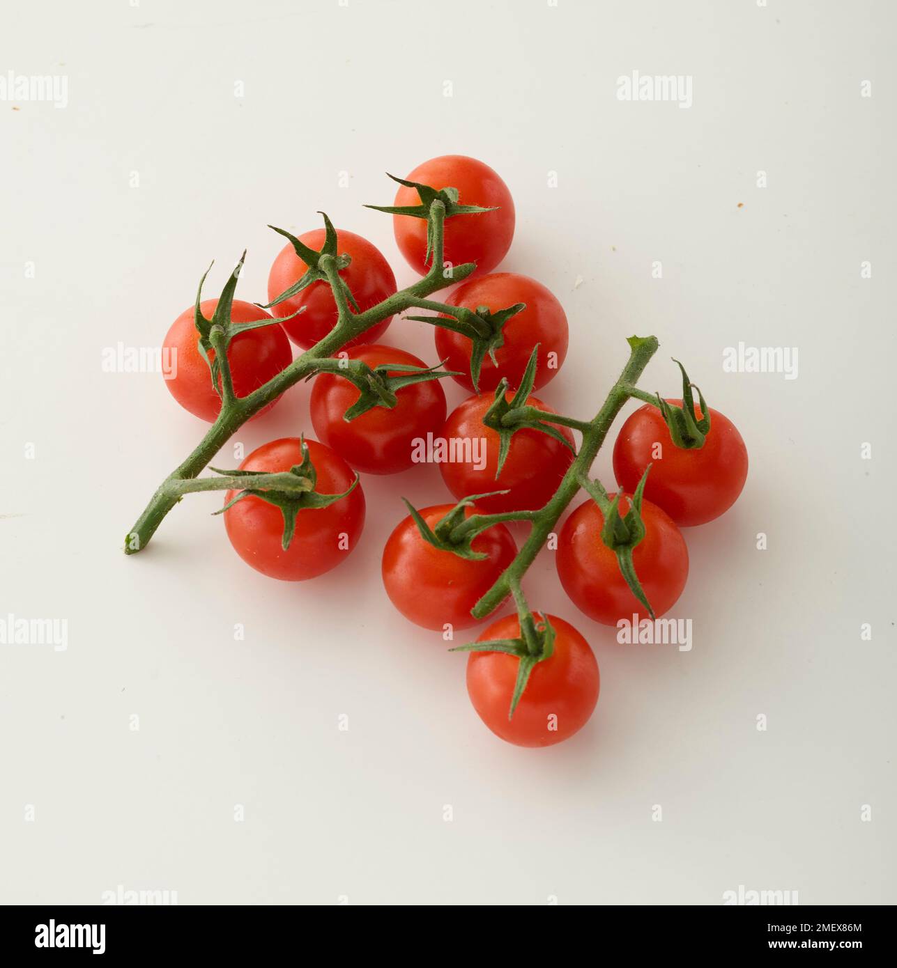 Cherry tomatoes on the vine Stock Photo