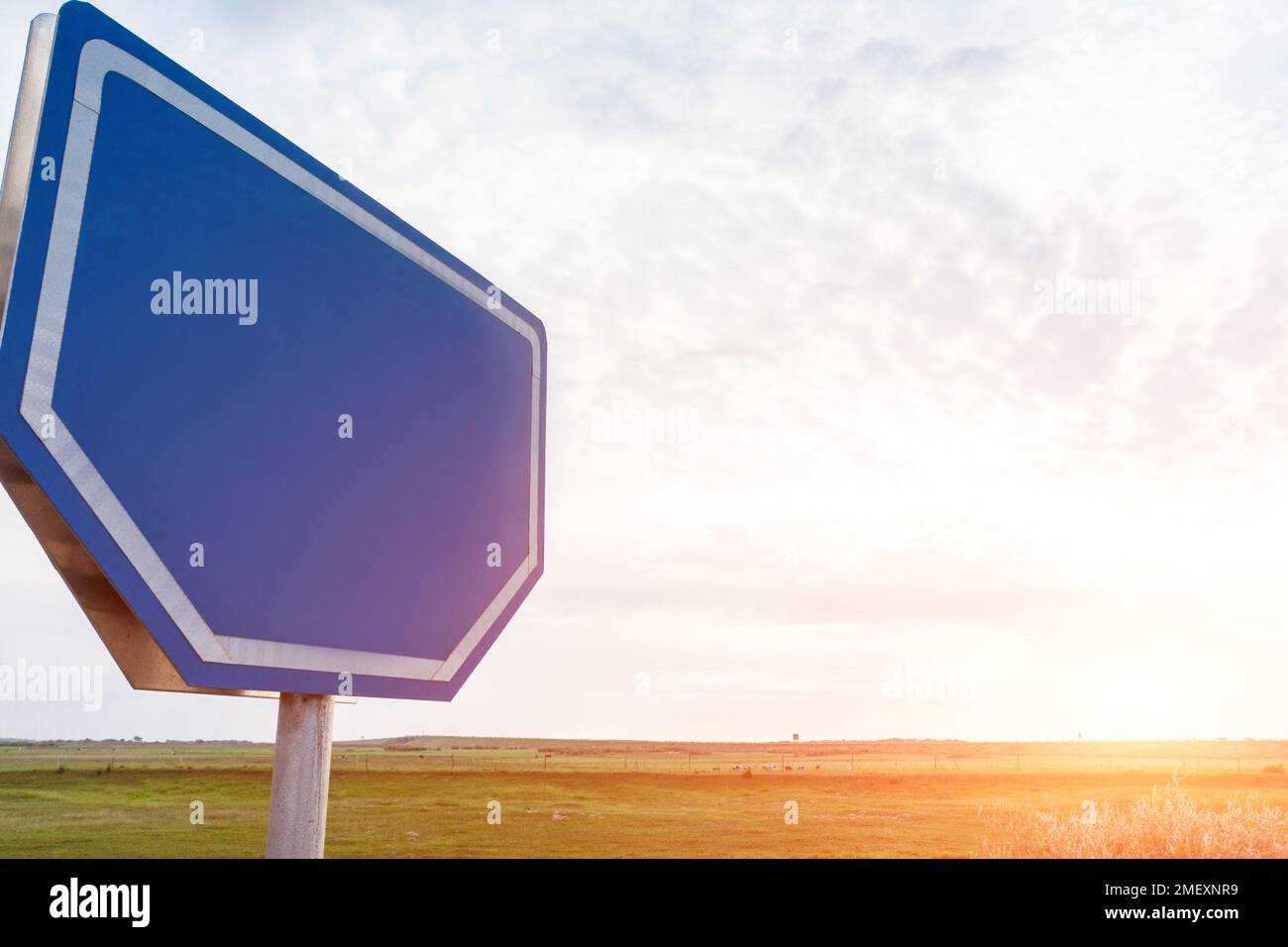 A close-up shot of a blue blank traffic sign on a road Stock Photo - Alamy