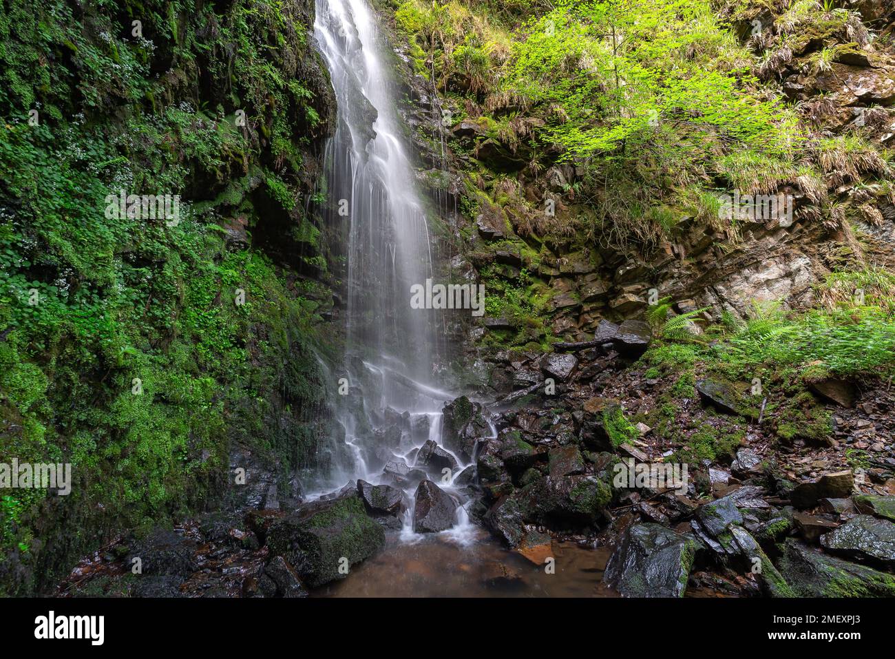 Waterfall of Belaustegi beech forest, Gorbea Natural Park, Vizcaya, Spain Stock Photo