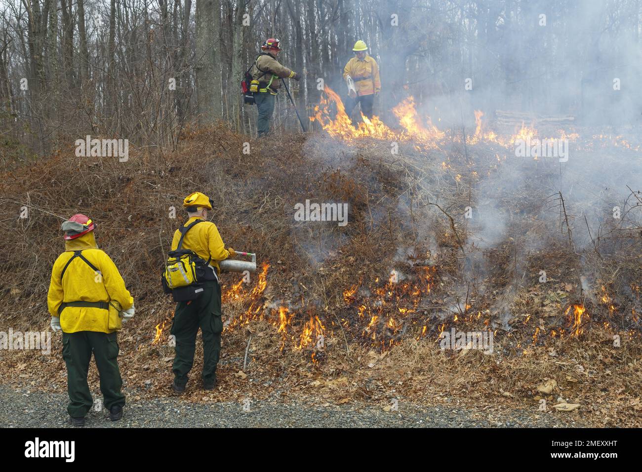 Controlled burn at the New Jersey Audubon Scherman Hoffman Wildlife Sanctuary, New Jersey, USA Stock Photo