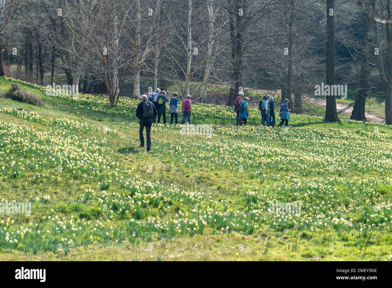 Englefield Green, Egham, Surrey, UK. 23rd March, 2022. Walkers walk