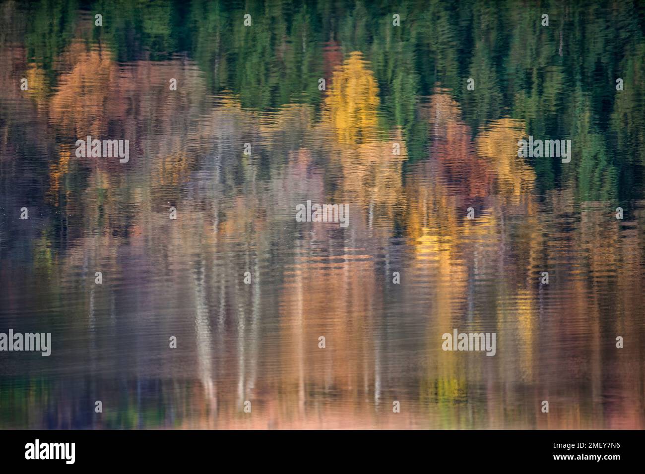 Reflections on a water surface in September Stock Photo