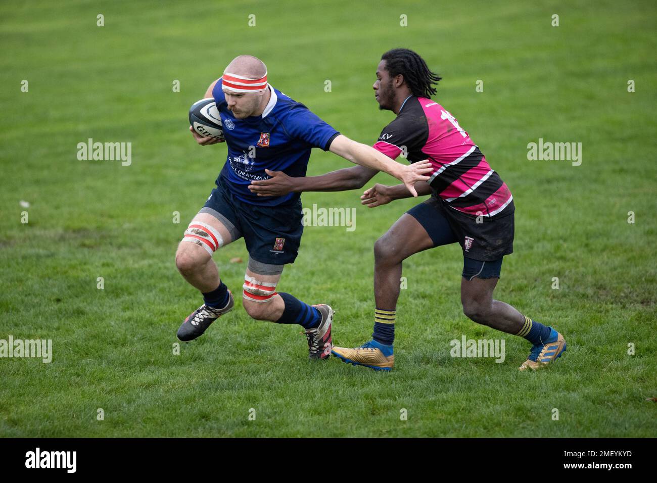Rugby match, rugby game, rugby player, rugby scrum, rugby tackle, rugby