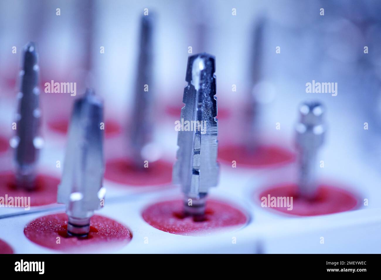 Rotary Dentistry Tools. Dental tools, tongs of various shapes. drill