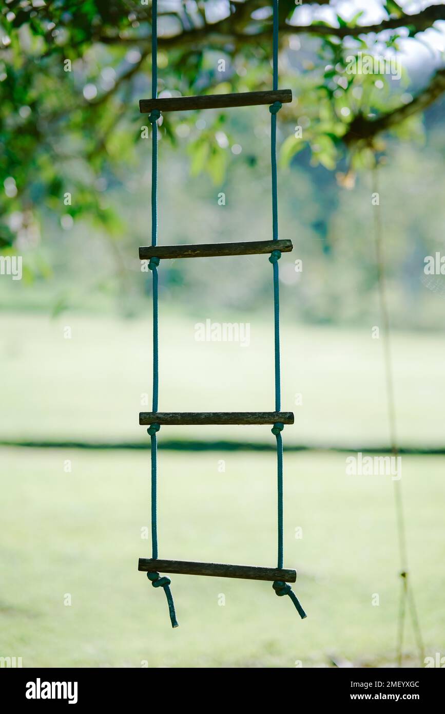 A vertical closeup shot of a hanging rope ladder on a tree Stock Photo