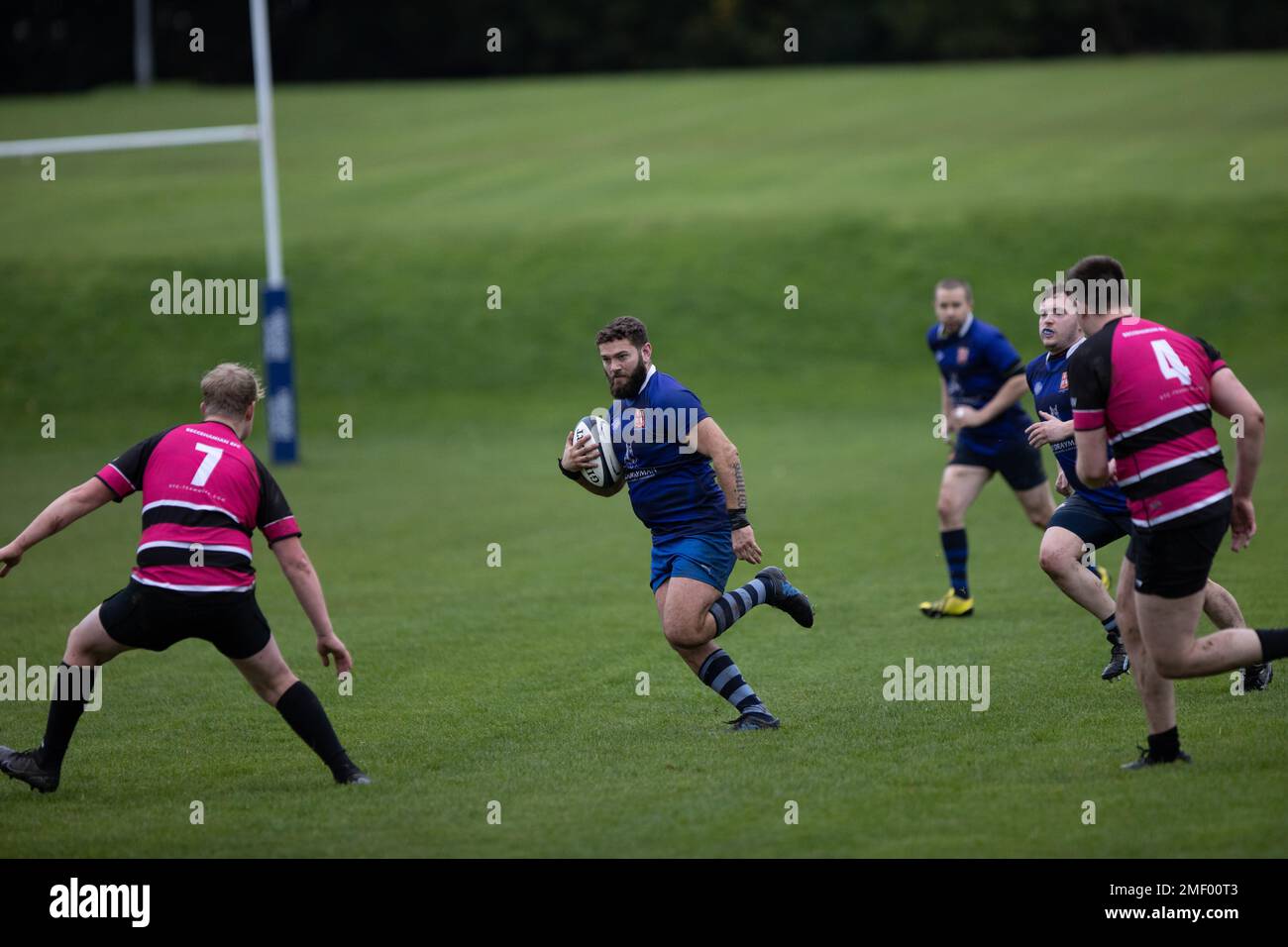 Rugby match, rugby game, rugby player, rugby scrum, rugby tackle, rugby
