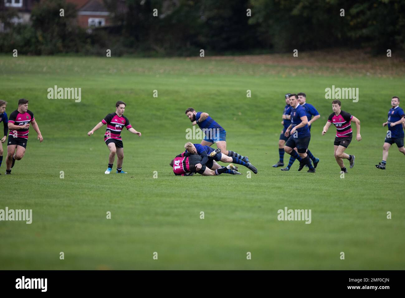 Rugby match, rugby game, rugby player, rugby scrum, rugby tackle, rugby
