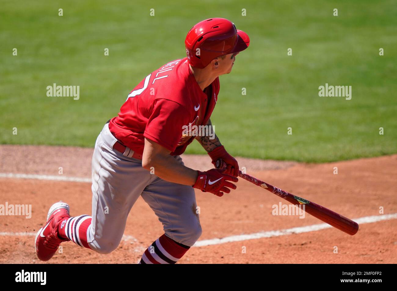 St. Louis Cardinals: Tyler O'Neill training exclusively in center field so  far