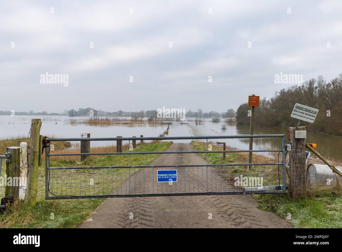 Olst Wijhe, The Netherlands - Januari 21, 2023: High water in river IJssel near Olst Wijhe in Overijssel in The Netherlands Stock Photo
