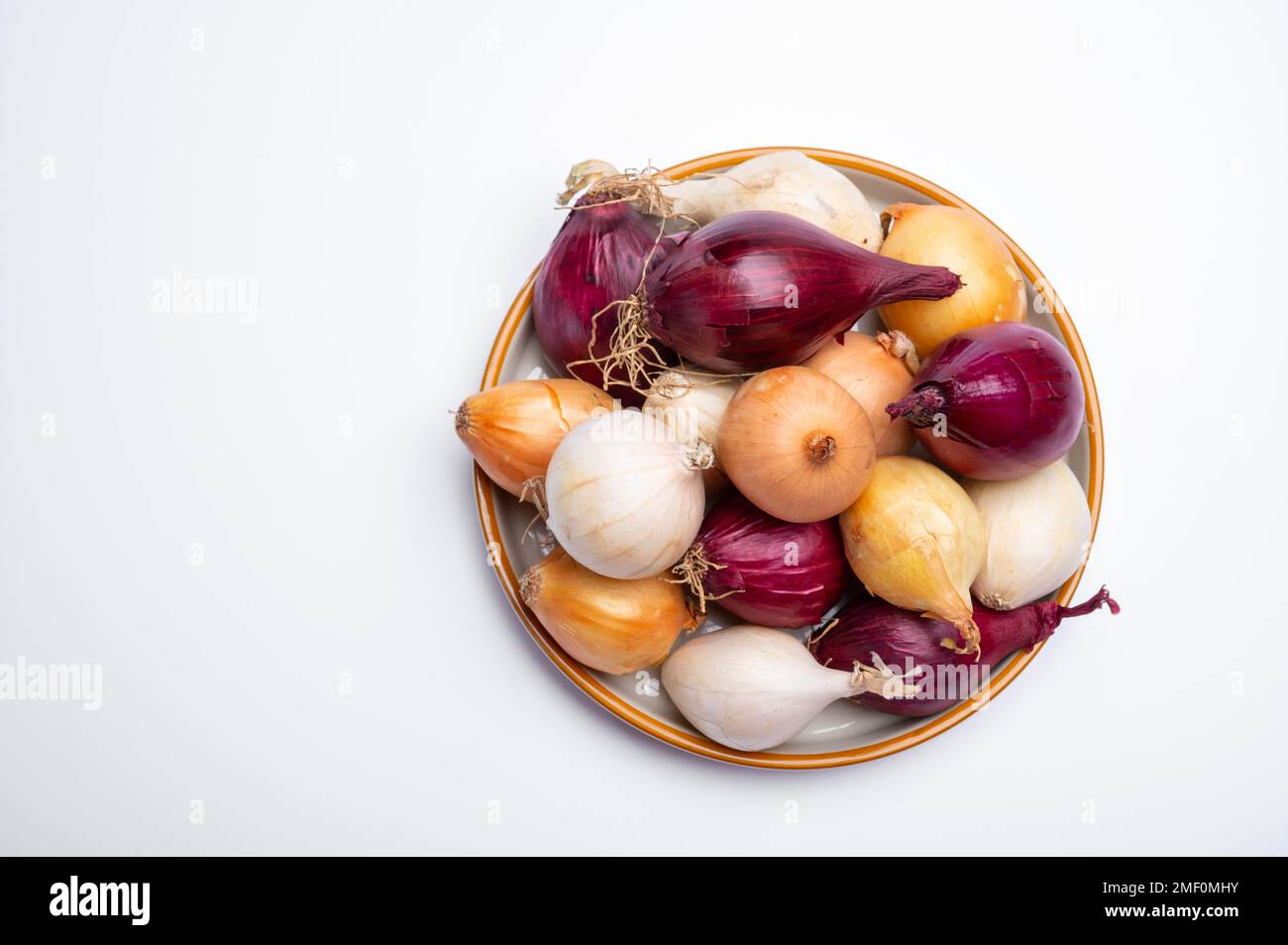 Onion collection, flat onion borretana from Spain, french Shallot
