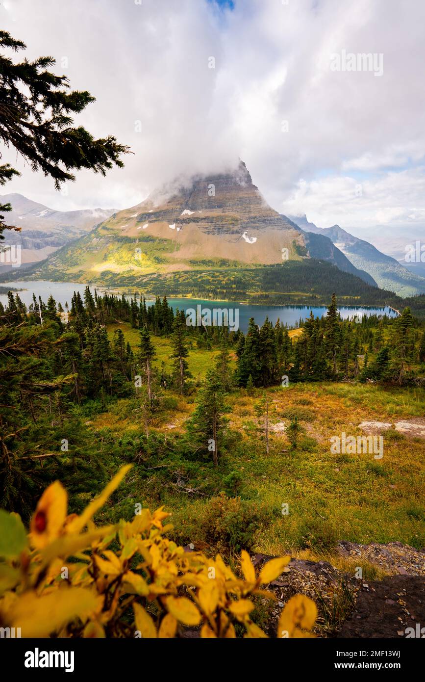 Hidden Lakes at Glacier National Park in Autumn. Looking over the beautiful landscape of the mountains with yellow foliage in the foreground. Stock Photo