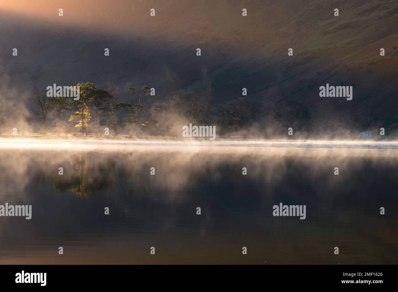 Misty sunrise with row of Pine trees giving perfect reflections in Buttermere, Lake District, UK. Stock Photo
