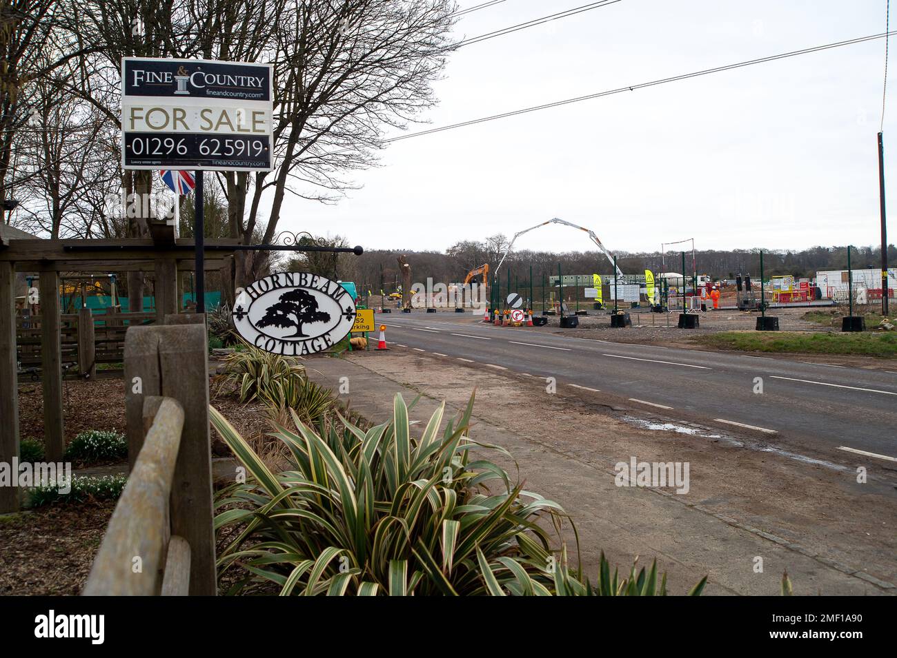 Wendover, Aylesbury, Buckinghamshire, UK. 28th February, 2022. Hornbeam