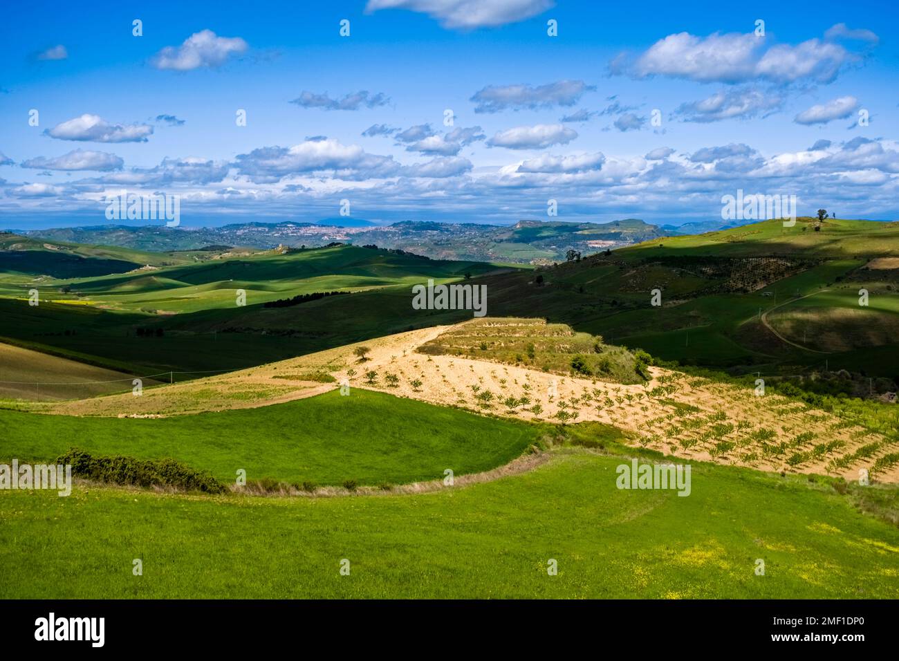Agricultural landscape with green hills, trees and fields in Central