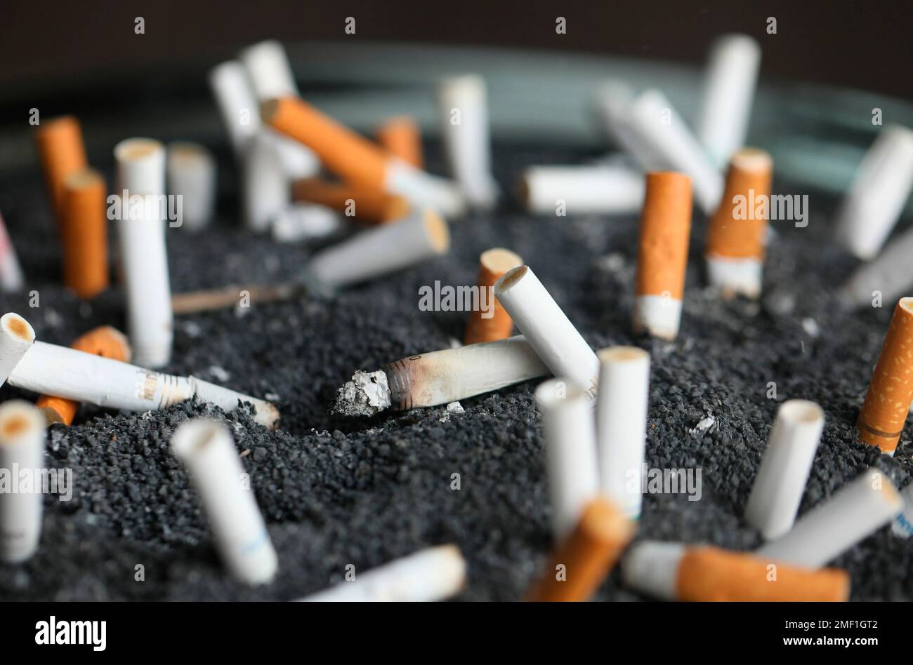 how many cartons of cigarettes in a case How Many Cigarettes are in a Carton?