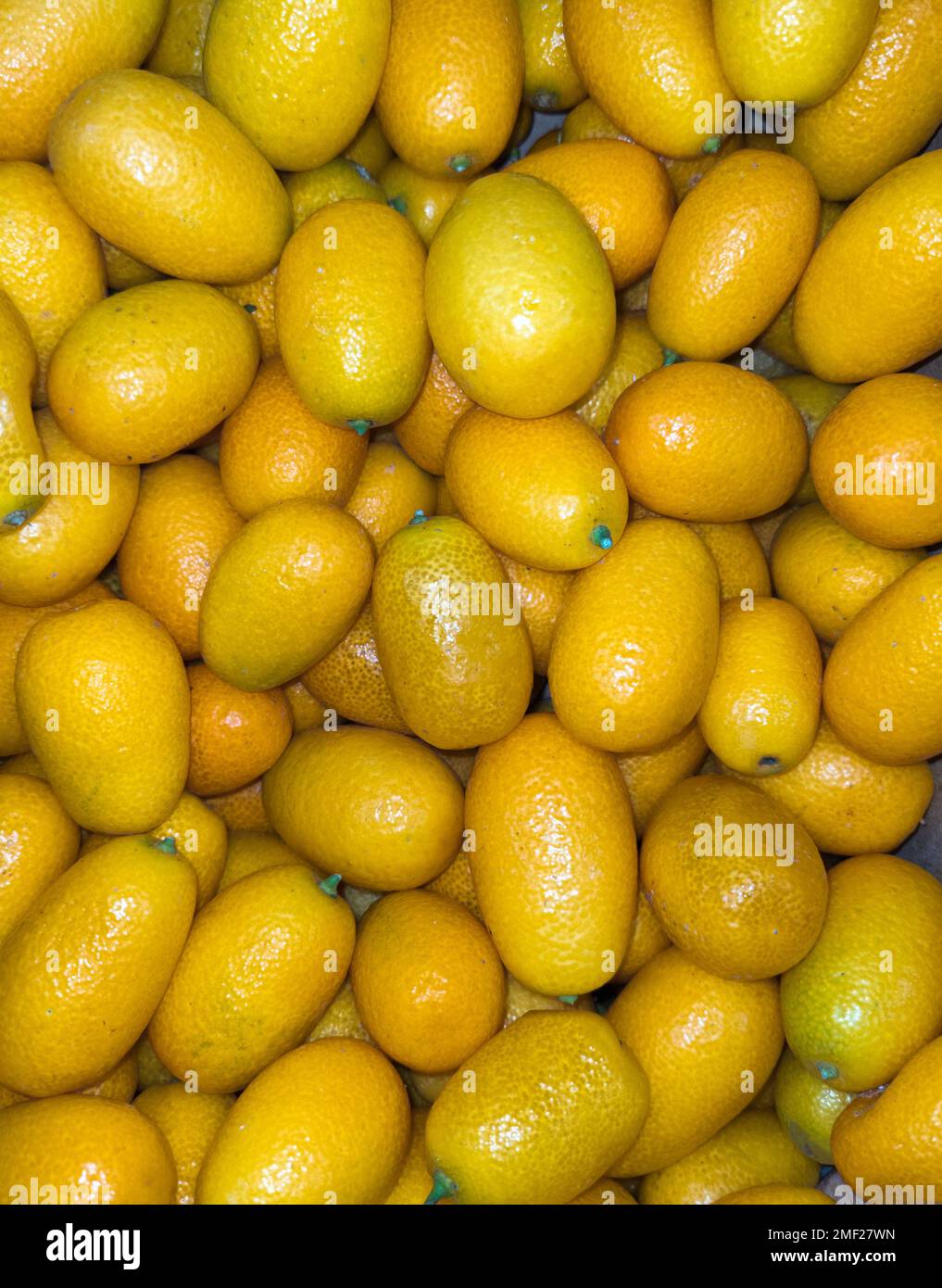 Fortunella kumquat or kinkan - orange citrus fruit, top view Stock Photo