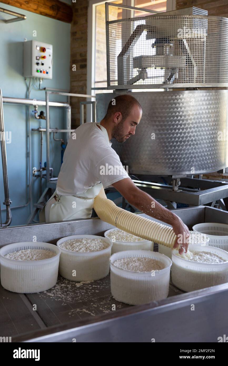 Fior di montalcino hires stock photography and images Alamy