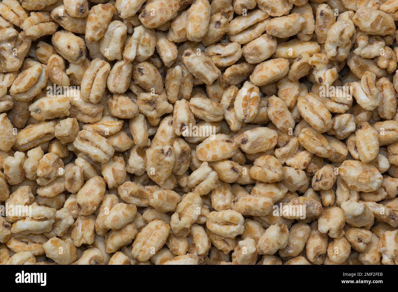 Dry honey puffed wheat cereal pieces scattered loosely directly above. Breakfast foods textured background, full frame image. Stock Photo