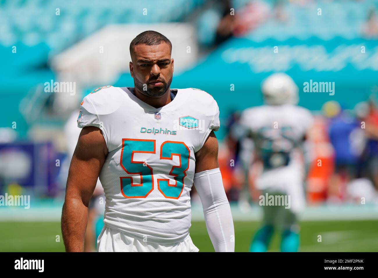 Miami Dolphins on X: Did someone say FREE NFT!? 