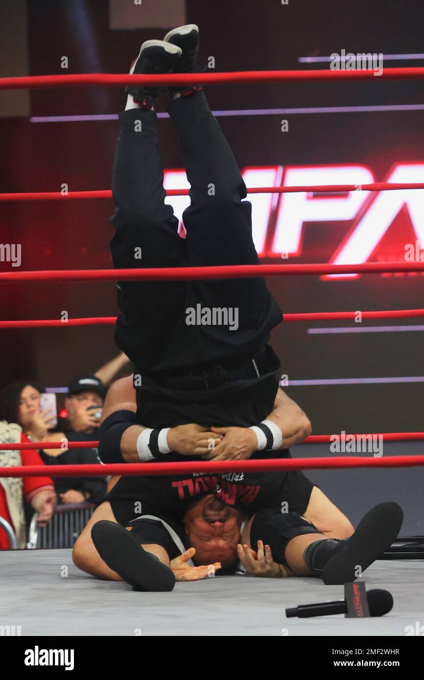 Piledriver wrestling shop