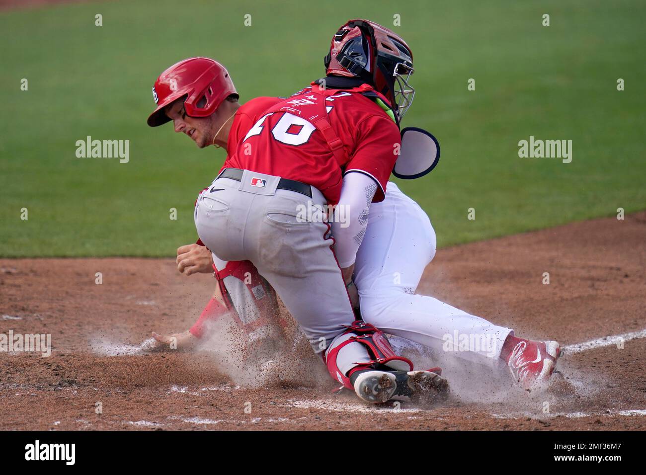 St Louis Cardinals Catcher Andrew Knizner Editorial Stock Photo - Stock  Image