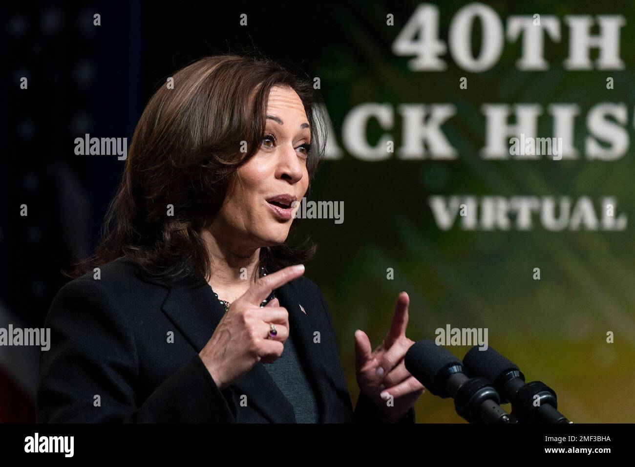 Vice President Kamala Harris Speaks At The 40th Annual Black History ...