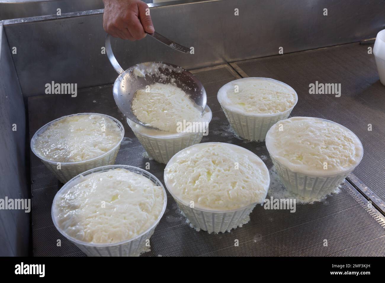 Making ricotta cheese at cheese farm in Tuscany, Italy Stock Photo Alamy