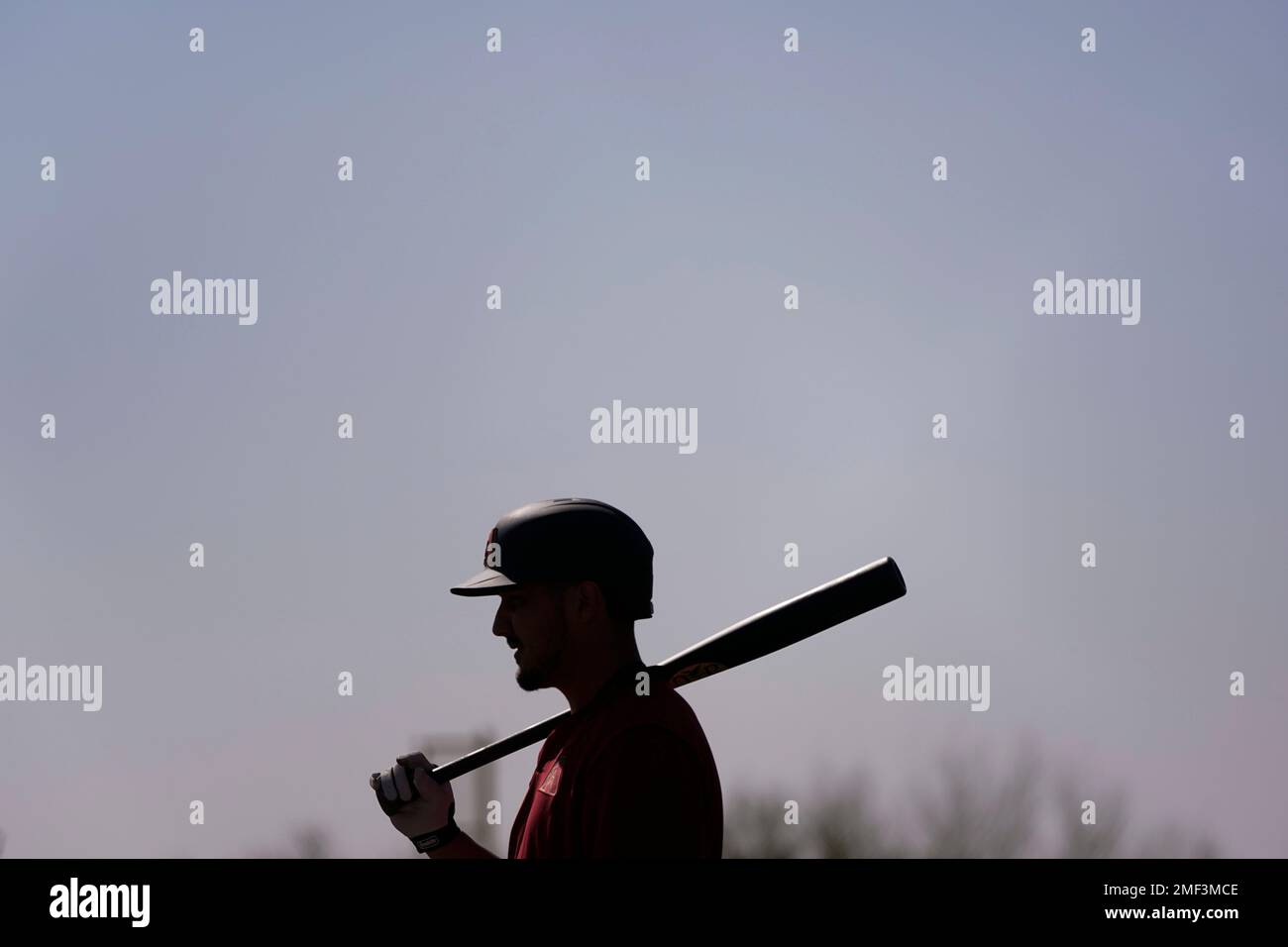 Arizona Diamondbacks' Josh Rojas stands next to a batting cage during