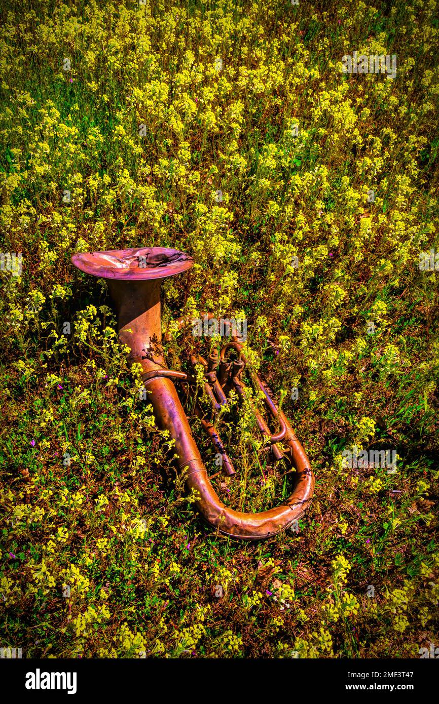 Rusting In The Wildflowers Stock Photo