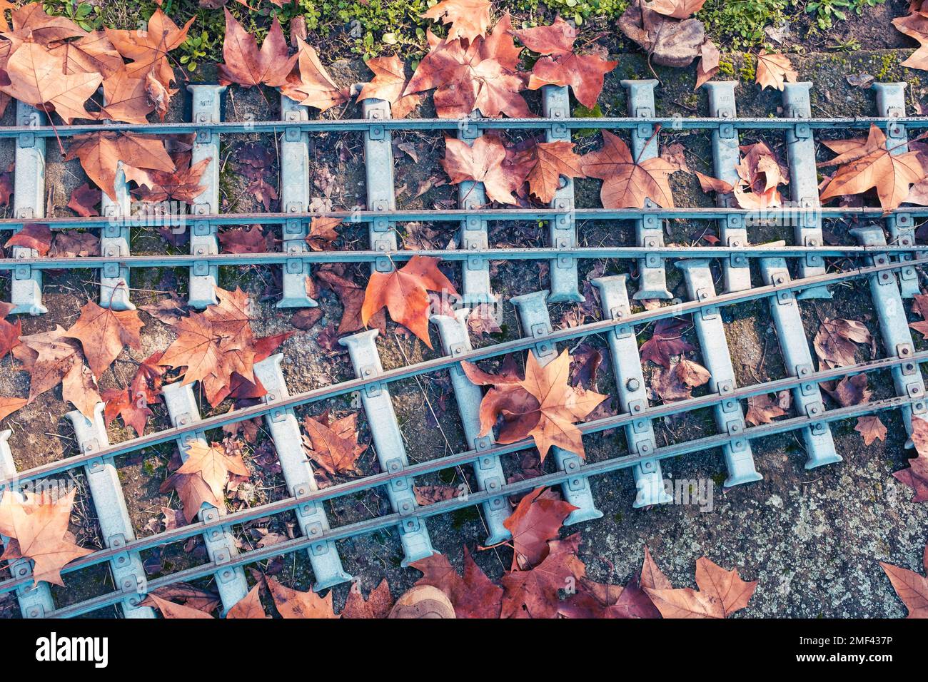 Two iron train railroad track cross covered on brown autumn leaves Stock Photo