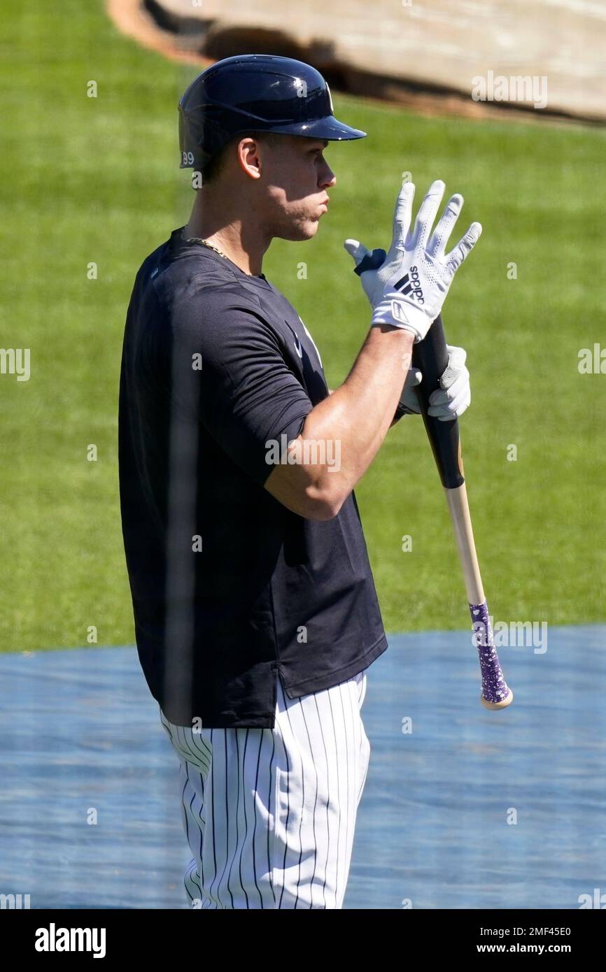 The Aaron Judge Workout 
