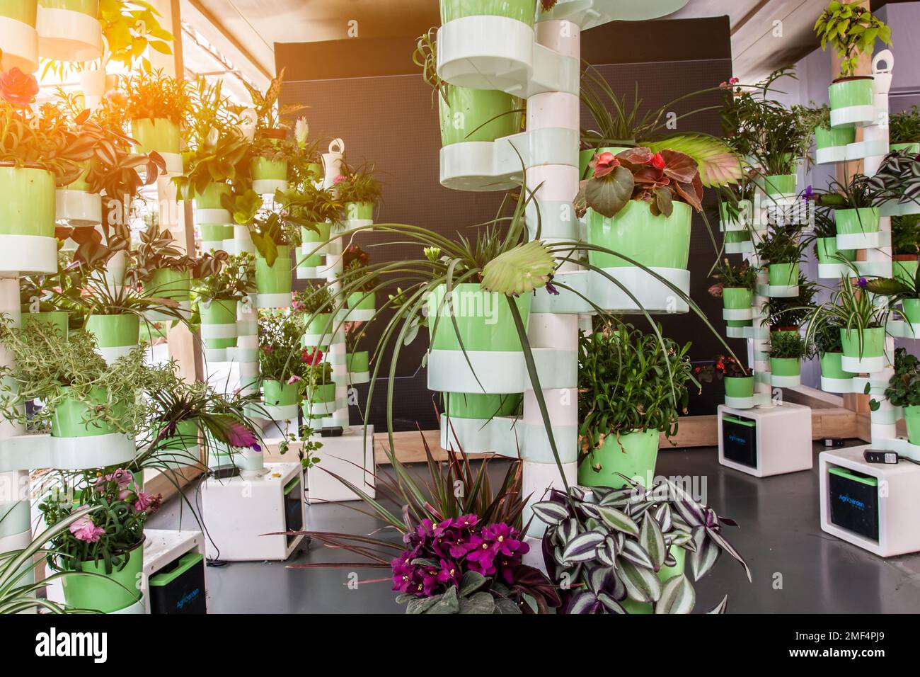 The different types of decorative plants planted in big stacked