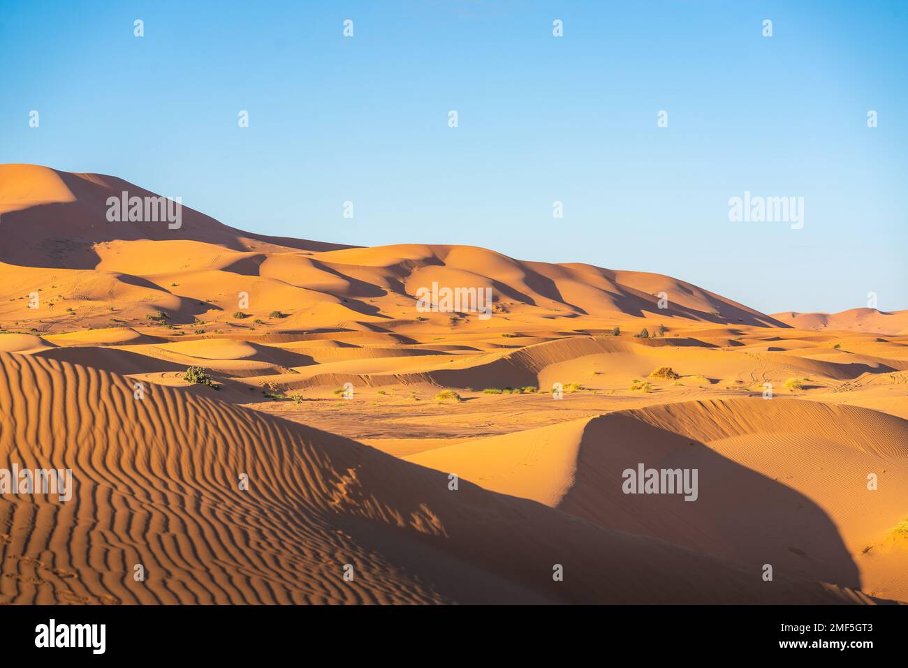 A view of desert dunes in the Sahara desert, Morocco Stock Photo - Alamy