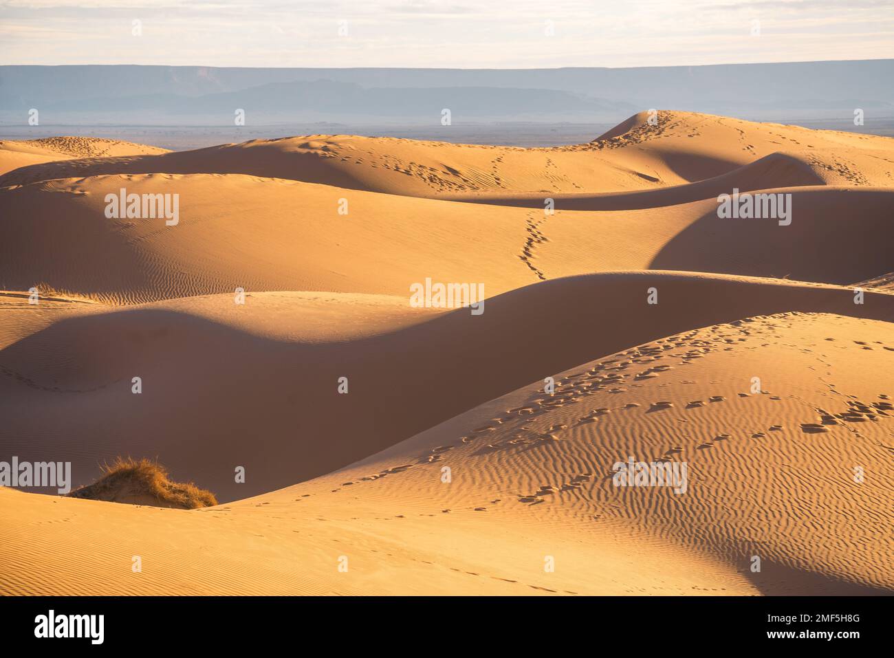 A view of desert dunes in the Sahara desert, Morocco Stock Photo