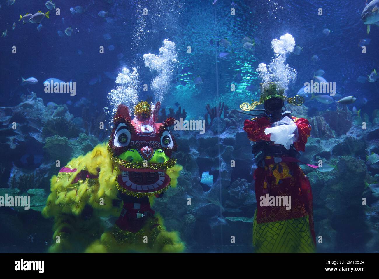 Divers perform an underwater lion dance at KLCC Aquaria during Chinese