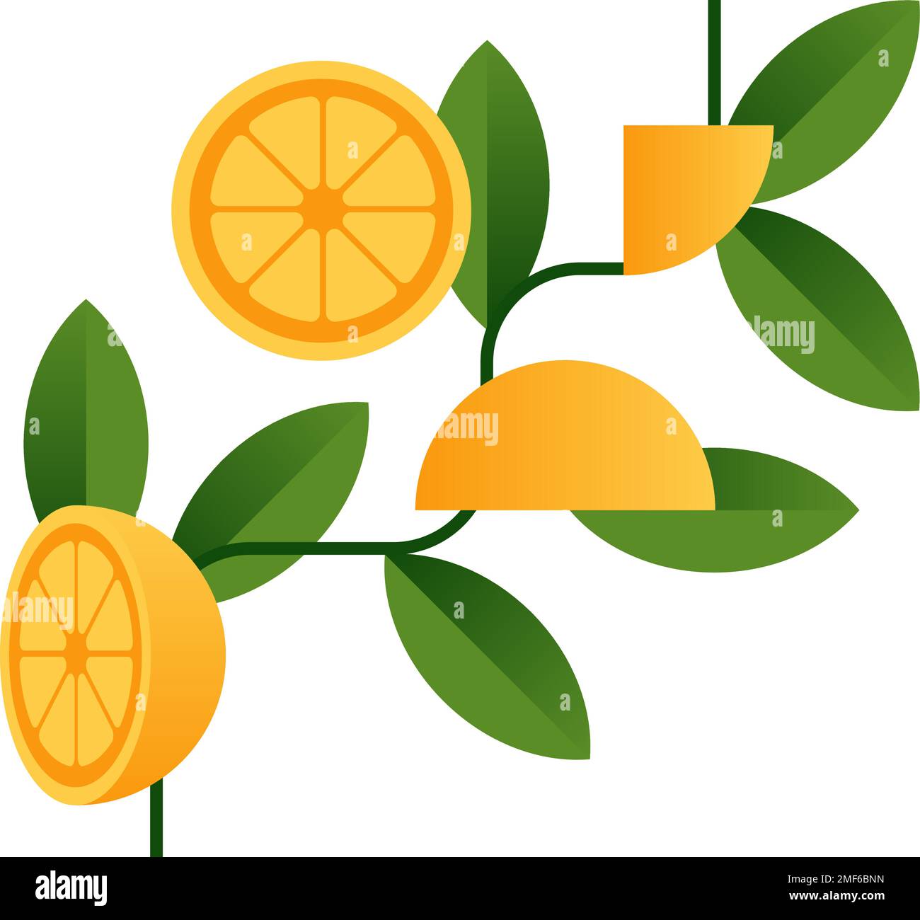 Branch with oranges. Decorative element. Stock Vector