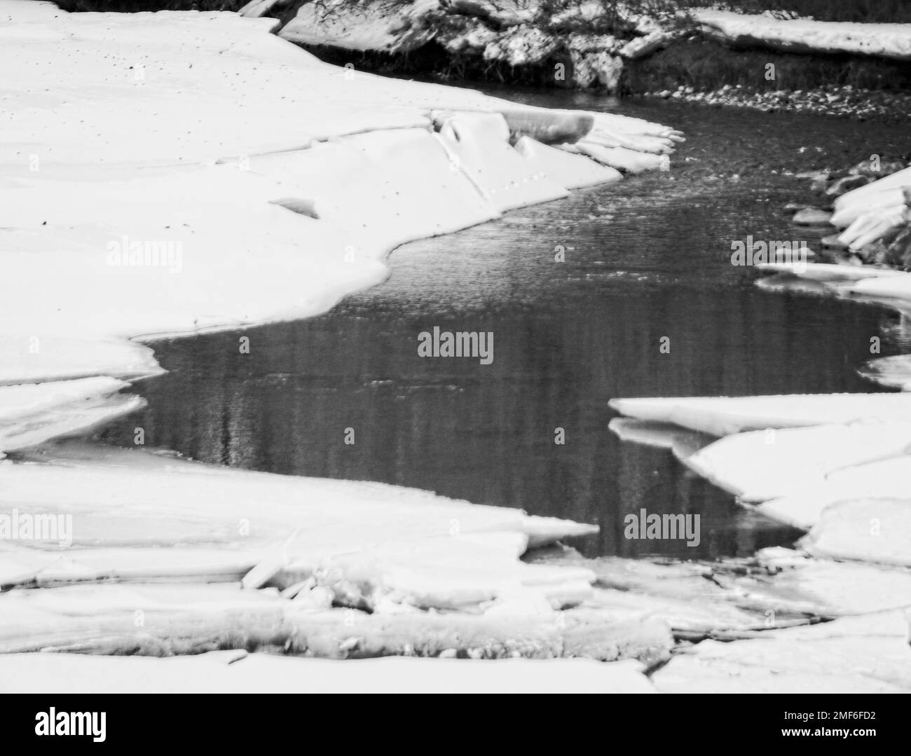 Zoo Black and White Stock Photos & Images - Alamy