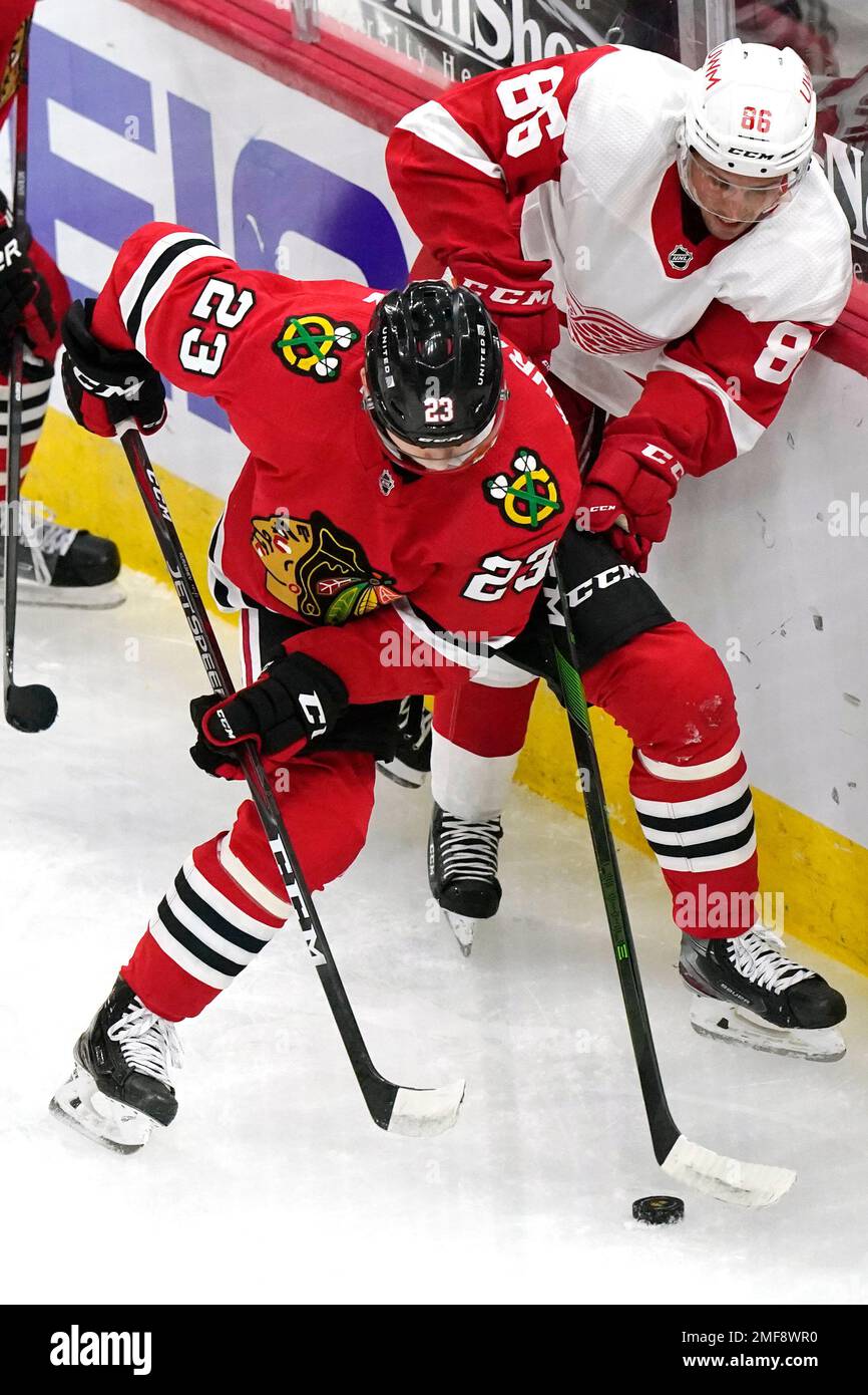 Chicago Blackhawks left wing Philipp Kurashev, left, and Detroit Red ...