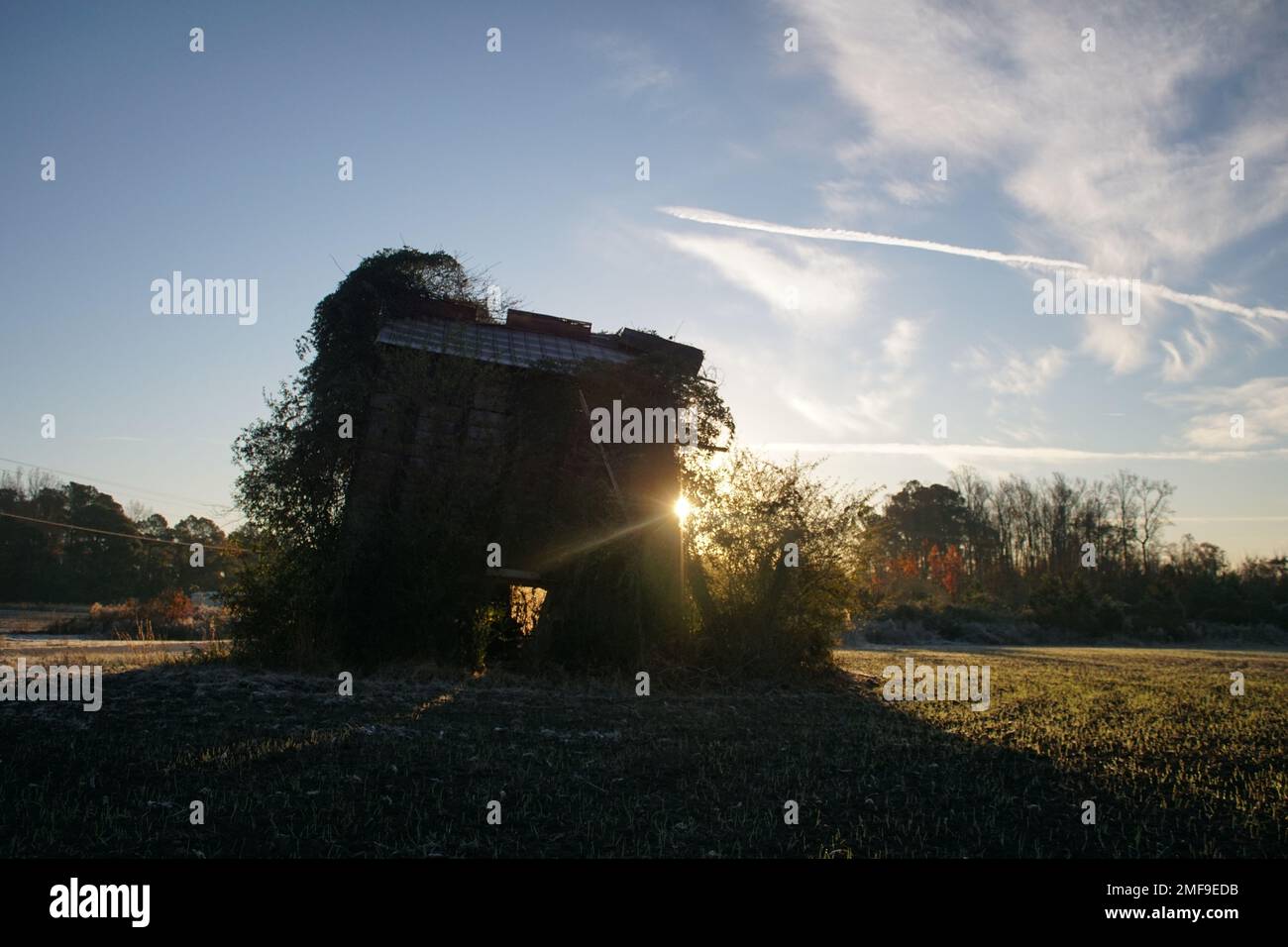 North Carolina, pets, country views, sunlight streaming Stock Photo Alamy