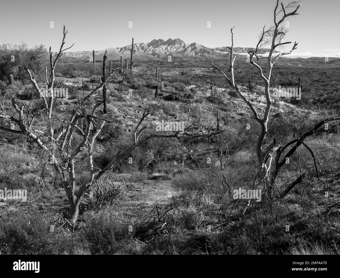 The iconic Four Peaks mountain and the surrounding mountain range near
