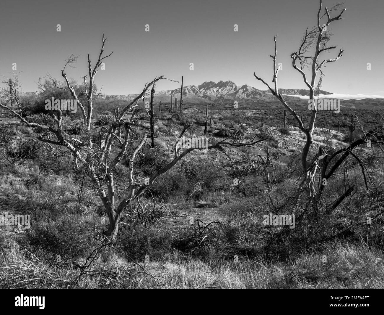 The iconic Four Peaks mountain and the surrounding mountain range near