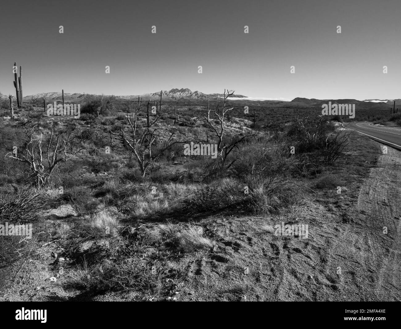 The iconic Four Peaks mountain and the surrounding mountain range near