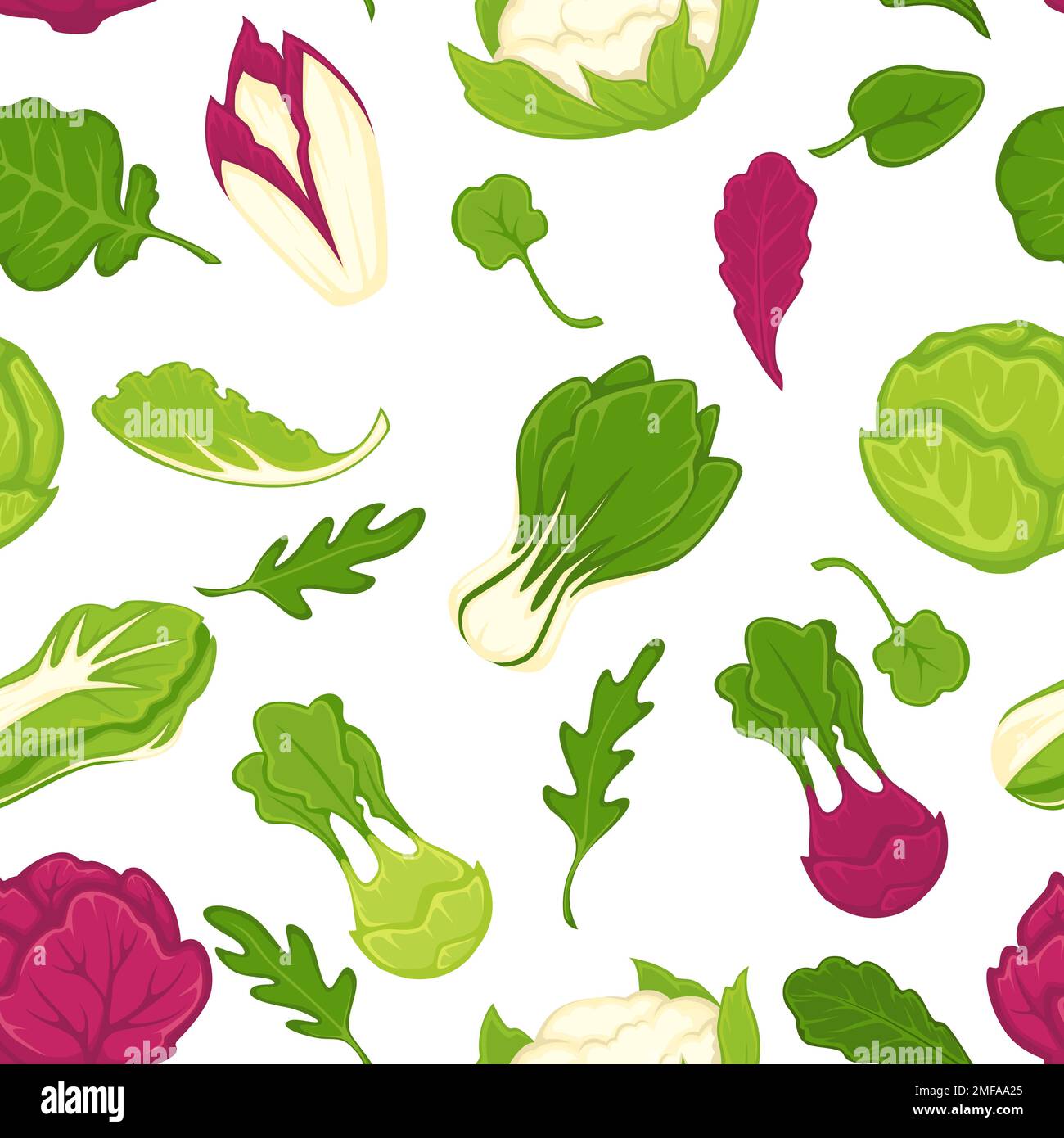Lettuce and salad leaves parsley herbs and greenery for seasoning Stock Vector