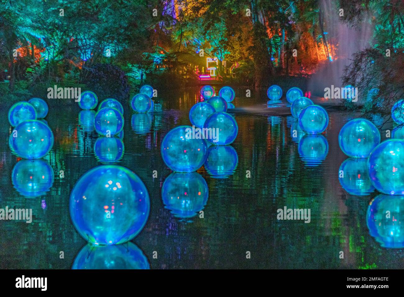 Blue Phase of Dichroic Film Bubbles on Fountain Lake, Pukekura Park during the Festival of Lights Stock Photo