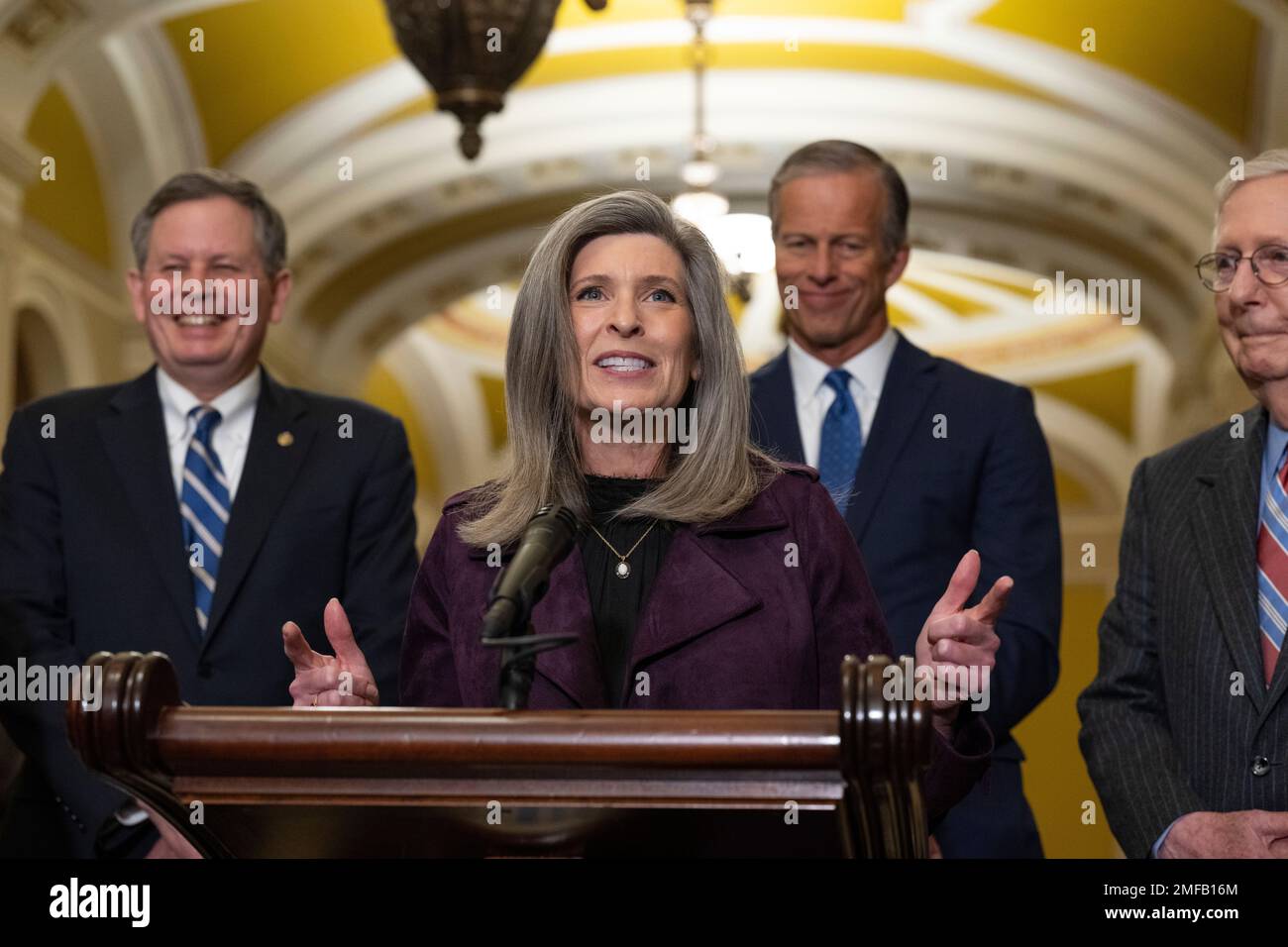 is joni ernst republican or democrat Image 4