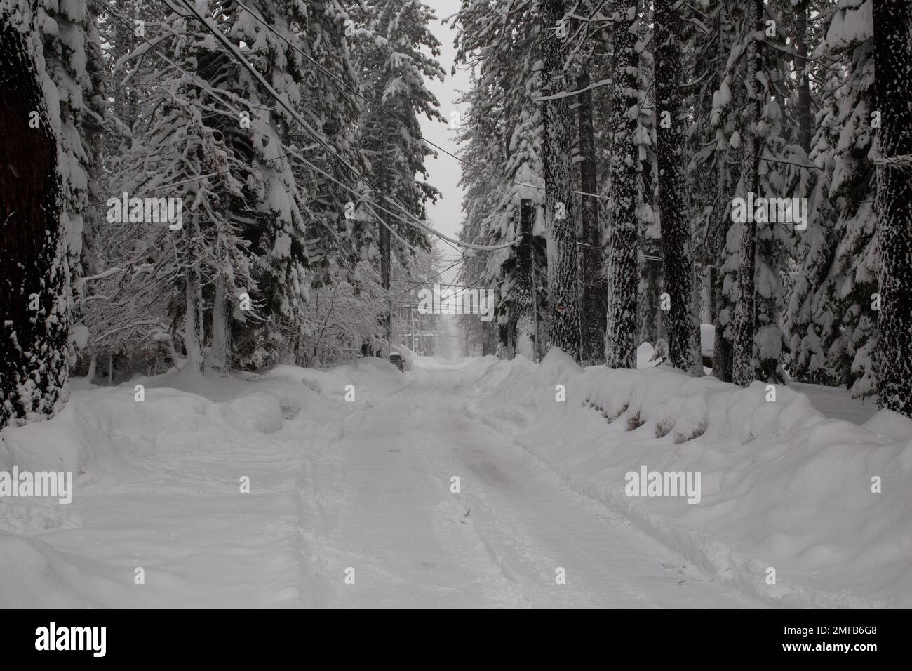 Road in mountain snowy forest hi-res stock photography and images - Alamy